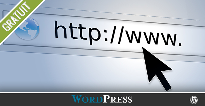 Quelle est la meilleure option des permaliens dans un site WordPress?