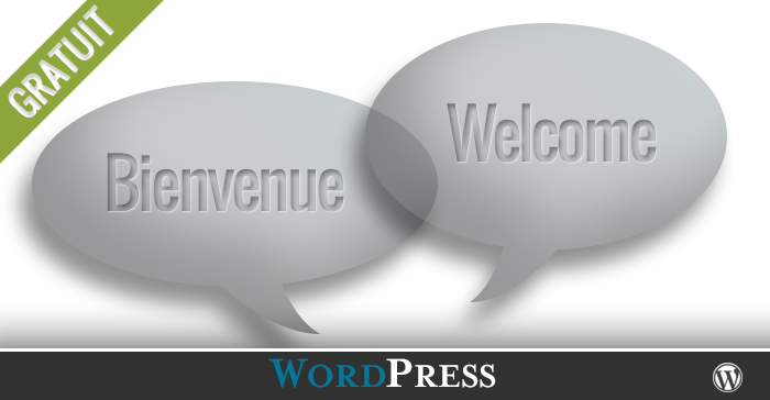 Les options pour un site bilingue ou multilingue WordPress